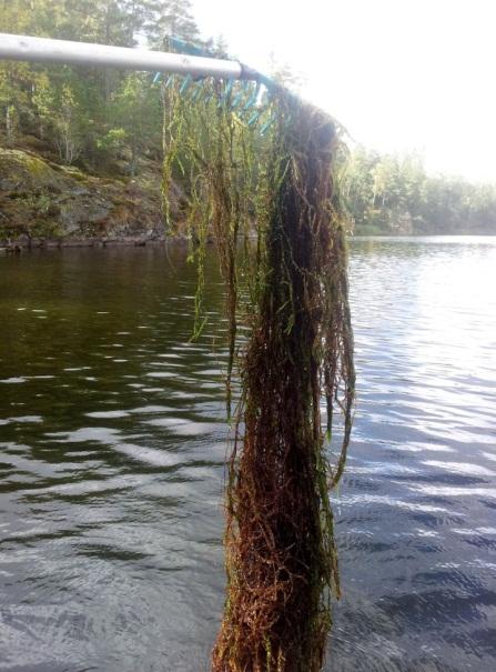 Fjättersjön Fjättersjön inventerades den 6 september med elva transekter, figur, tabell 0 samt bilaga och 2. Sjön ligger i Nynäshamn kommun och har en area på 0,6 km 2.