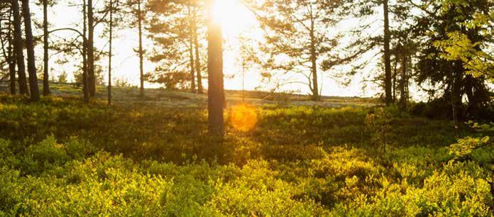 Vi har även bildat ett kundteam för att samordna vårt budskap i alla kontakter i medlemskommunerna, så att vi tillsammans kan skapa och stödja hållbara beteenden hos våra invånare.