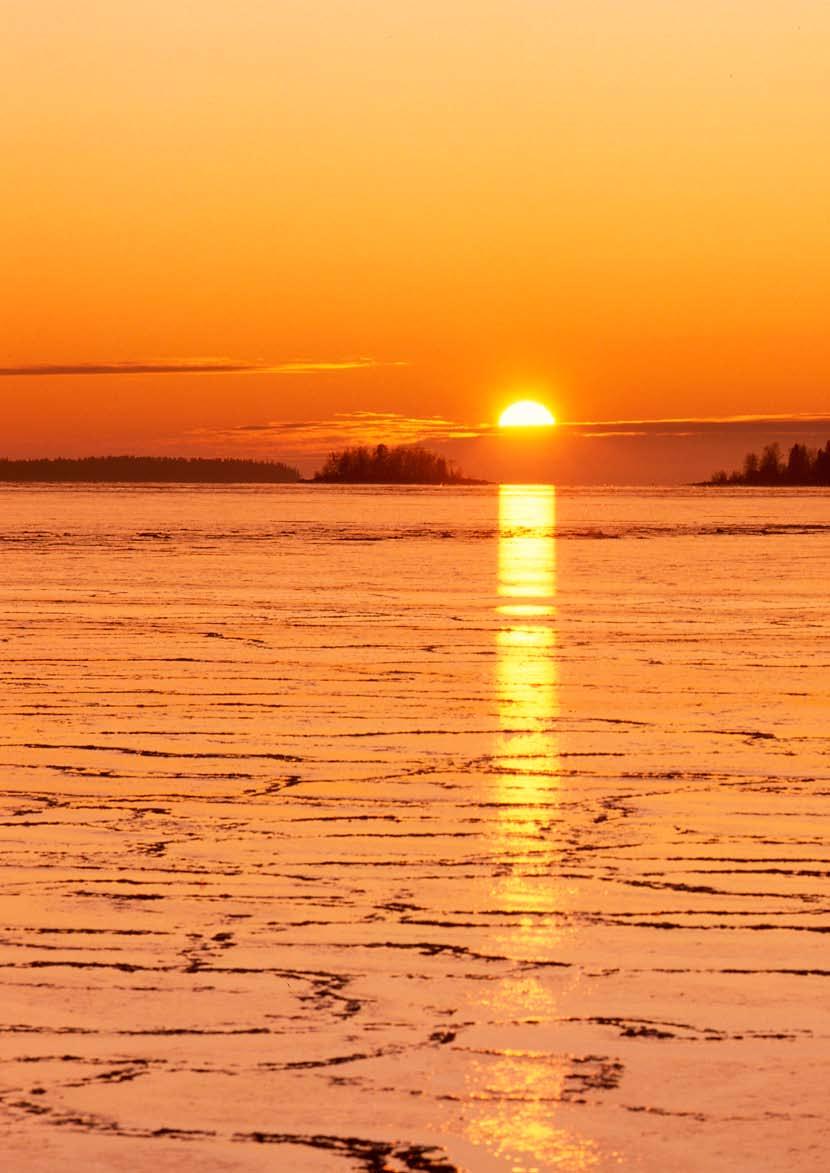 JämLYS En jämställdhetsanalys