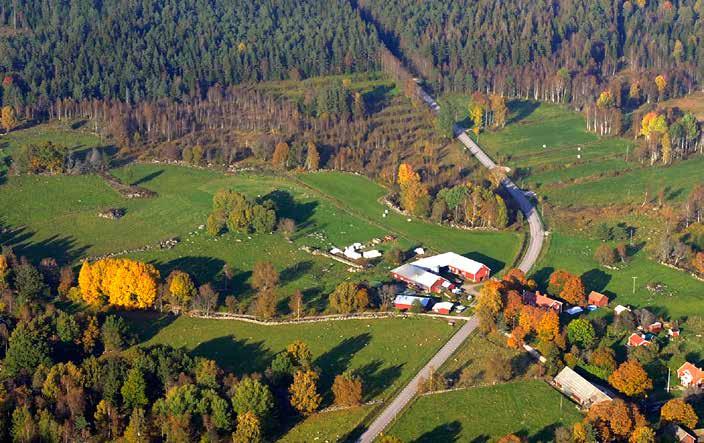 Certifiering för ett ansvarsfullt skogsbruk Södra erbjuder certifiering enligt världens två största skogscertifieringssystem, FSC och PEFC Den här broschyren presenterar vad det innebär att vara