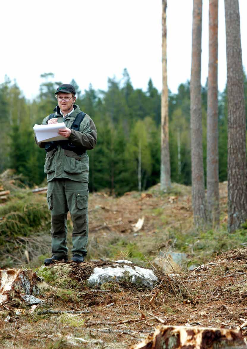 Södras skogsrevisorer kontrollerar årligen skogsbruket på ett urval certifierade fastigheter.