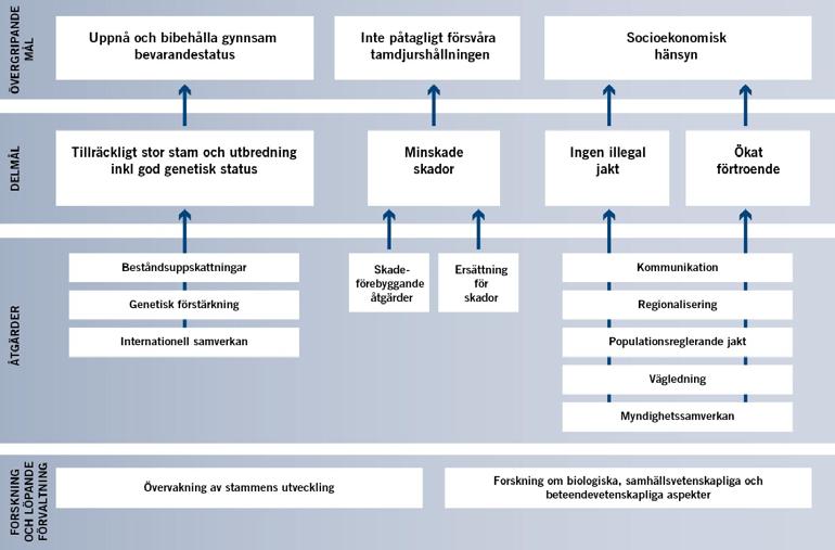 förvaltningen, till exempel vid bedömning av särskilt sårbara områden i ett län och hur socioekonomisk hänsyn bör tas samt hur arbetet med toleransnivån inom renskötseln ska ske (se vidare 3.2.