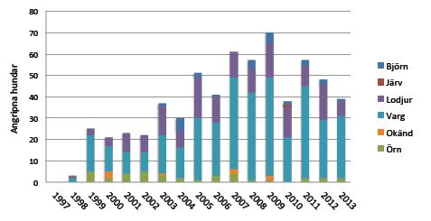 Figur 8. Antal angreppstillfällen på får mellan 1997-2013 orsakade av björn, örn, lodjur respektive varg. Statistiken är hämtad från Viltskadecenters årliga sammanställning av viltskador i Sverige.