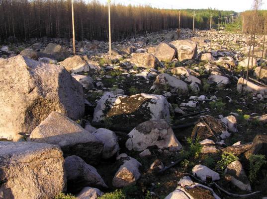 vara gökärt, gulvial, hampdån, liten och stor blåklocka, kärringtand, skogs-/rödklöver, skog-/ängsviol, skogs-/ängskovall, teveronika, vitsippa och ärenpris.