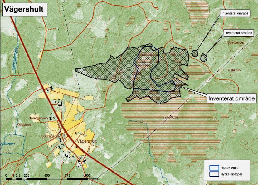 Brandfältet i Vägershult Ekologa besökte brandfältet i Vägershult den 20, 22, 31 juli och 6, 15 och 17 augusti 2009.