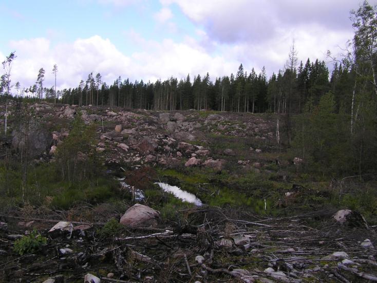 Brandfältets areal inklusive biotopskyddsområdet beräknas vara ungefär 45 ha varav inventeringsområdet ca 30 ha. ågra större fuktigare partier valdes bort i områdets centrala och södra delar.