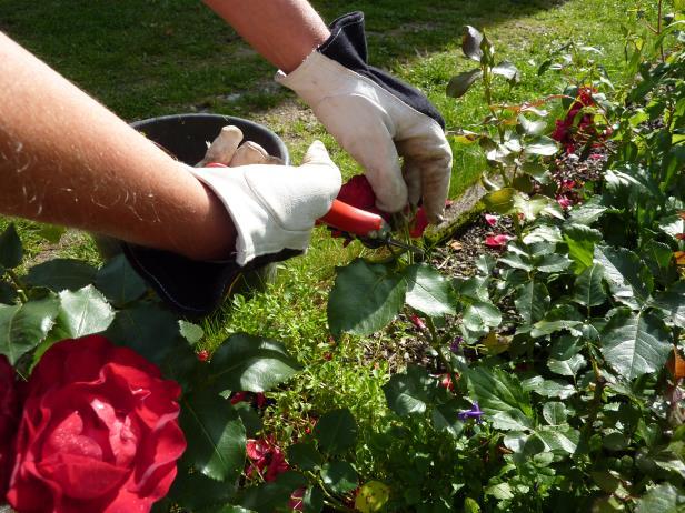 Program Linköping våren 2017 Natur Må bra med trädgård Trädgårdsvår i Täppan. Praktiskt arbete med sådd, rensning, vattning och annat trädgårdspyssel i lugn och vacker miljö.