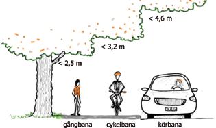 tomt intill gata Häck och buskar ska växa inom eget tomtområde. Har du träd som sträcker sig ut över gata eller gångbana se till att det finns fri höjd för trafikanterna.
