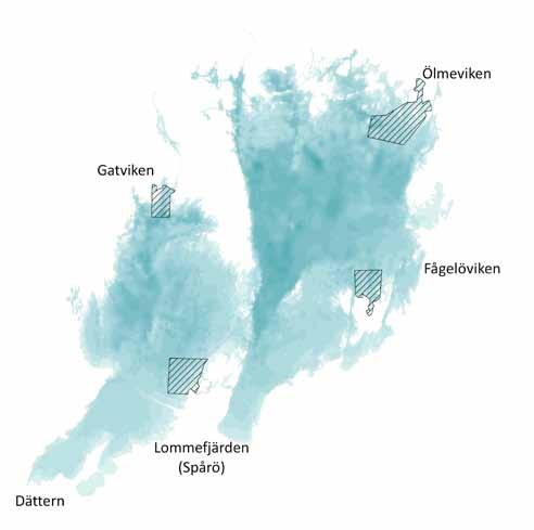 17 Gatviken Ölmeviken Provfisken i Vänern 29-212 Lommefjärden (Spårö) Fågelöviken Figur 1. Karta över provfiskelokalerna 29-212. Områdena anger både provfiskade vikar och utsjö- och skärgårdsfisken.