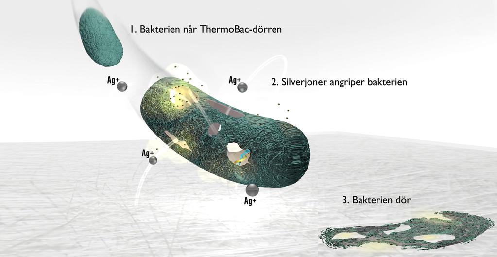 KONSTANT VERKAN ÖVER HELA DÖRRYTAN Bakteriehärdar i känsliga miljöer har en närmast exponentiell tillväxt. Inom 100% loppet av minuter kan antalet bakterier på lokalens inredning mångfaldigas.