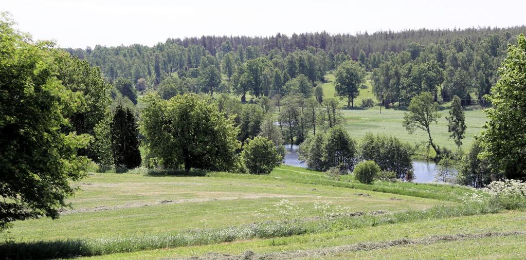 ÅRSREDOVISNING 2015 I KORTHET Emådalen Foto: Henrik Tingström DET EKONOMISKA RESULTATET Högsby kommun redovisade ett överskott på 11,3 miljoner kronor för 2015.