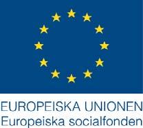 1(5) Beslut 2008-09-15 Europeiska socialfonden stöder projekt som motverkar utanförskap och främjar kompetensutveckling Utlysning av projektmedel i hela Sverige.