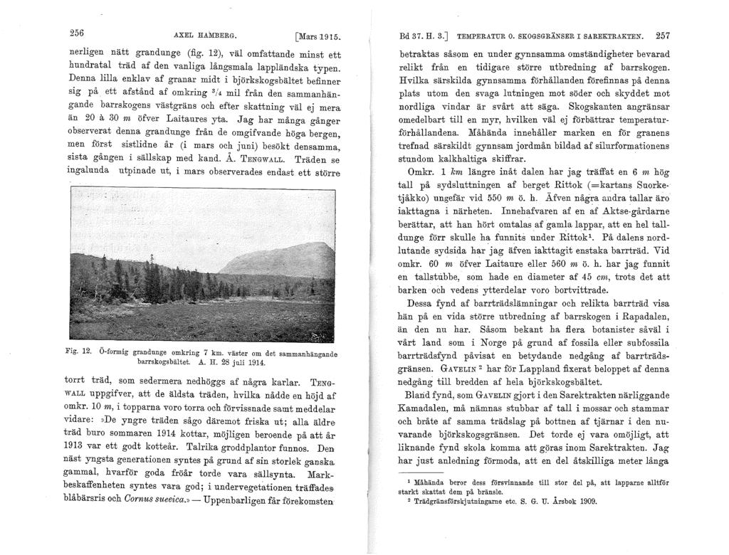 256 AXEL HAMBERG. [Mars 1915. nerligen nätt grandunge (fig. 12), väl omfattande minst ett hundratal träd af den vanliga långsmala lappländska typen.