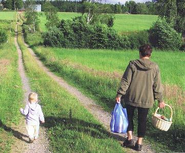 Ett stort problem är att den mark som avgränsar sjön i södra änden har eroderat vilket gjort att det uppstått läckage vid sidan av dammen som gör att vattenståndet i sjön under sommaren ligger en