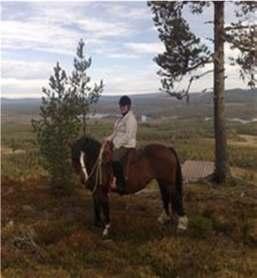 Horseback riding Swedish, Danes, Germans, Dutch market Families, daughters