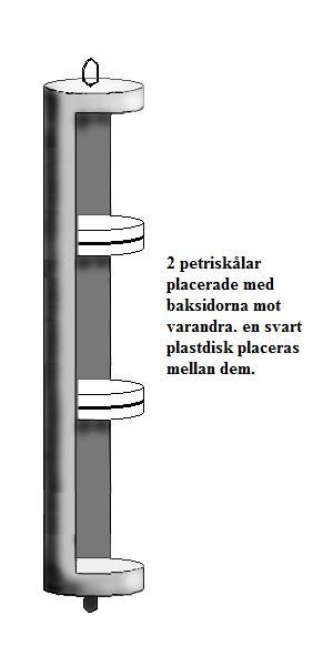 Figur 15. Schematisk figur över Musselcatcher-kollektorn i vilken provplattorna fästs.