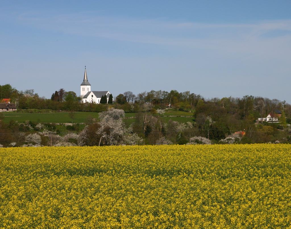 se Sevärdheter Fornminnen Lär dig mer om vår kultur och historia och besök våra fornminnen: Vargropen i Bystad Kycklingkullen - natural monument Skålgropsten i Kroken Gravfält Ek Övregården