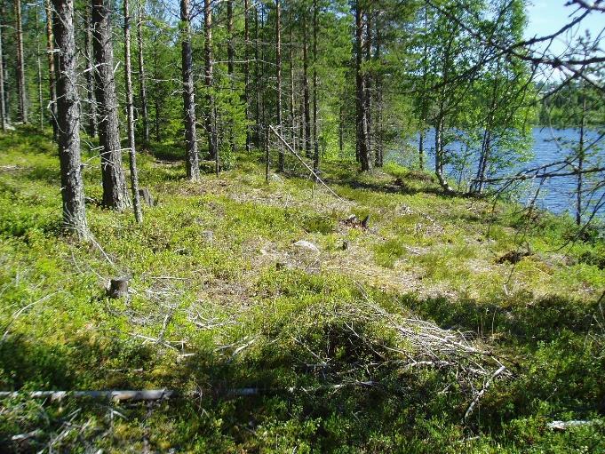 4 Undantag från allemansrättsligt tillgänglig mark i strandzonen är ett mindre område närmast piren där anläggningar med direkt koppling till vattnet såsom båthus, bastu, grillplats etc. får uppföras.