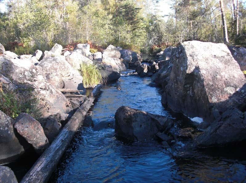 ELPROVFISKE 213 39 3.12 Sällevadsån, Flottled nedan Vensjön EF73 ARO Kommun Lokalkoordinater x-y H ö h Fiskedatum Areal 74 Emån Hultsfred 636696-148832 13 m 213926 68 m 2 Figur 37. Elfiskelokalen.