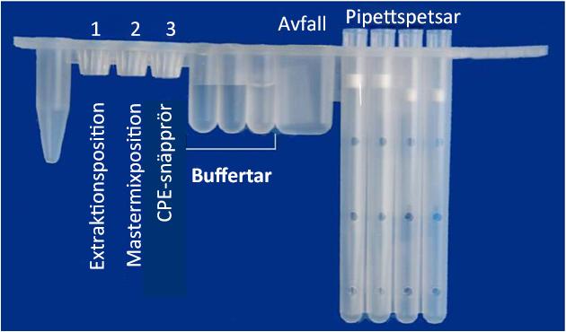 Figur 1: Förberedelse av sammansatta DNA-reagensremsor. 3. Inställning av BD MAX TM -instrumentet 3.1 Öppna fliken Run (Kör) i BD MAX TM -systemets program v4.