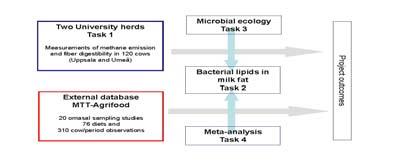 (2012-2014): SLU; HUV, NJV, Mikrobiol, MTT Finland, Nottingham university, UK Mitigating methane emissions from dairy