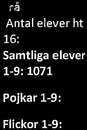 15 1,1 1,4 0,9 Mer än 20% ht 16 antal % 23 3,1 14