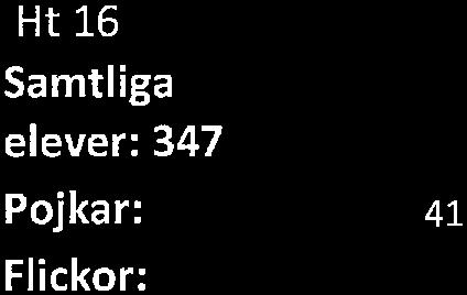 ht 14 antal % 79 41 38