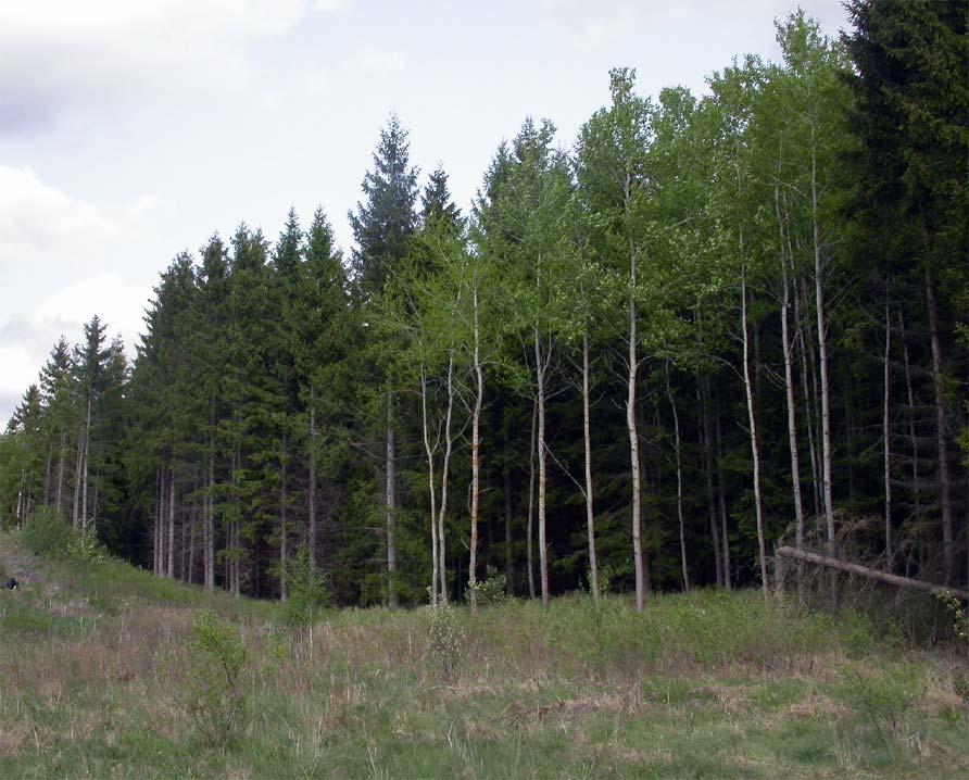 1500 Brynprofil Trädbryn, kontinuerligt km 2 1000 500 0 1 2 3 4 5 6 Region Trädbryn, utan skogsmantel Trädbryn, med tvär skogsmantel Trädbryn, med utdragen skogsmantel Buskbryn, utan skogsmantel