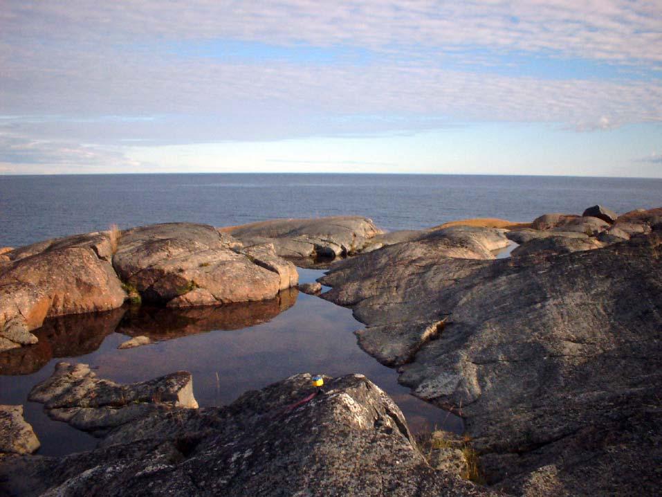 Tabell 52 Hävd vid strand miljon m m / km 2 Ingen hävd 341,1 712 8,9% Kortbetad vegetation <5cm 0 0 - Måttligt betad vegetation 5-15cm 1,05 2,2 70,3% Svagt betad vegetation >15 cm 1,60 3,3 73,9%