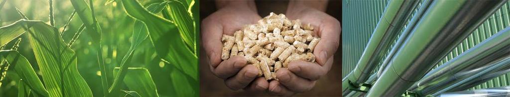 Läget på energimarknaderna Fasta biobränslen Månad: Februari, 2017 2017-02-14 Sammanfattning De internationella indexen för pellets och flis har gått ned under den gångna månaden uttryckt i SEK/MWh.