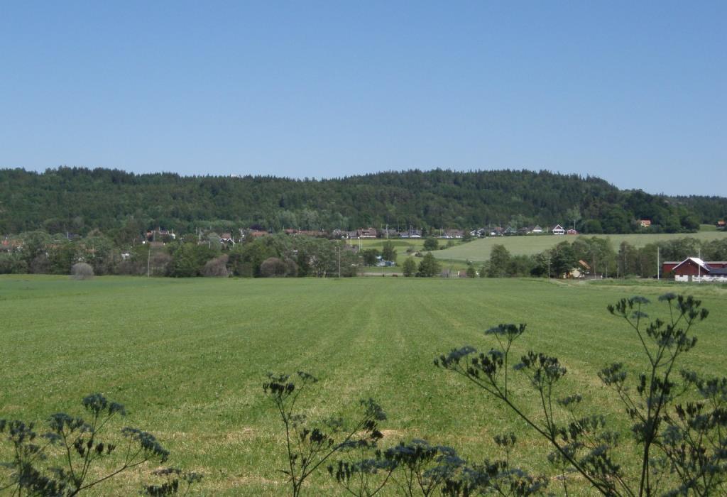Figur 4: Marken runt Dingle vattentäkt utgörs huvudsakligen av odlingsmark.