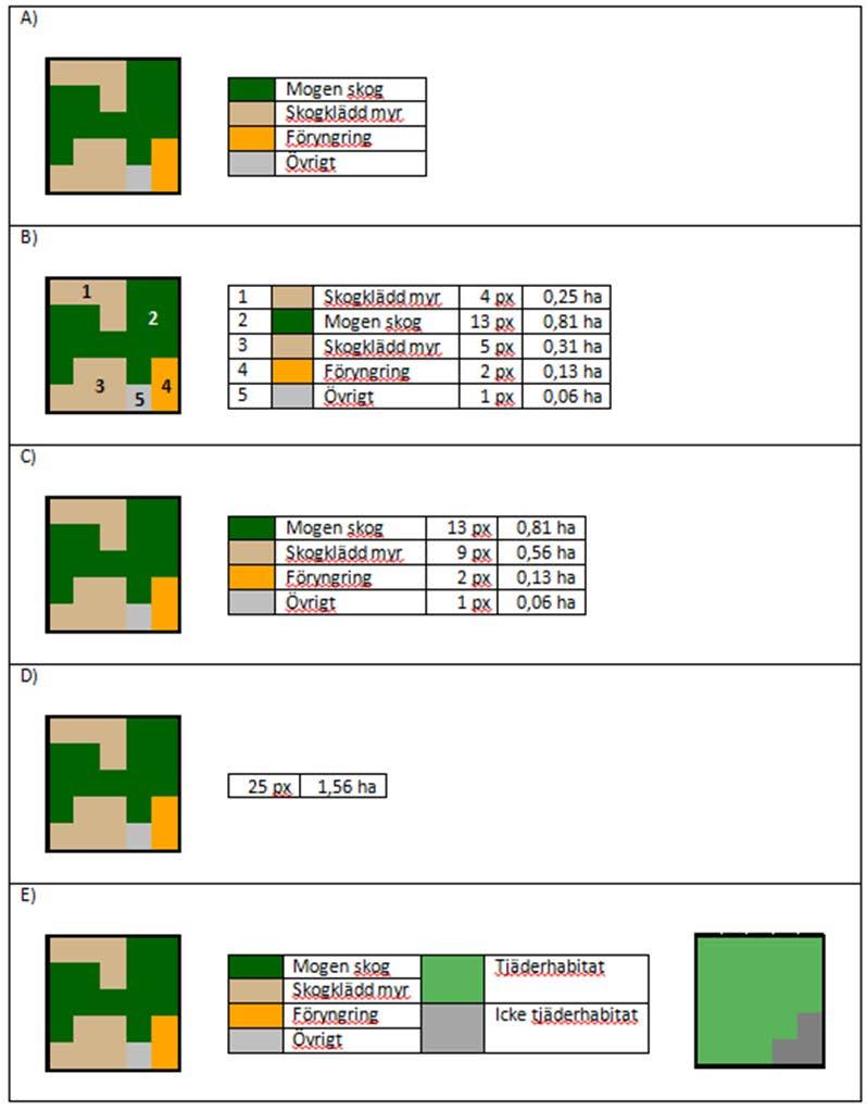 Figur 5. Illustrationer av hur olika arealer beräknas från ett habitatgruppsraster i FRAGSTATS.