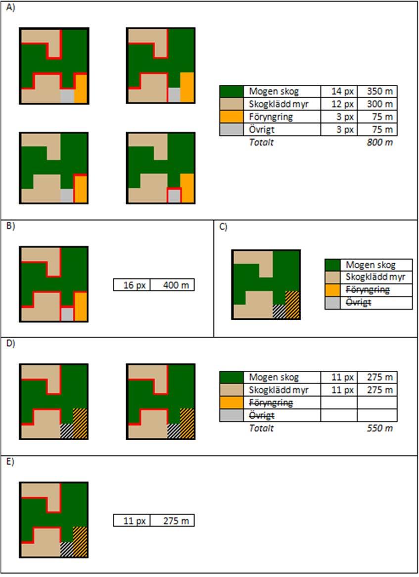 Figur 7. Exempel på kantlängdsberäkning i FRAGSTATS.