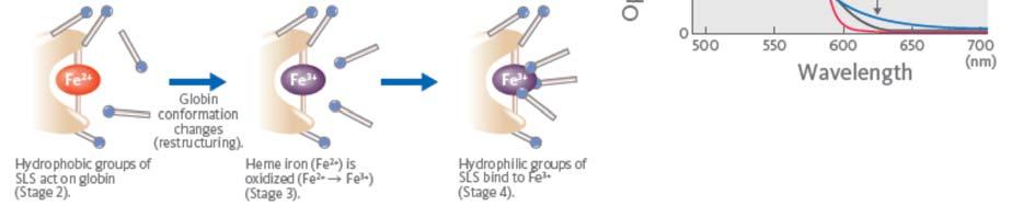 Erc-MCH, Erc-MCHC, B-EVF [12].