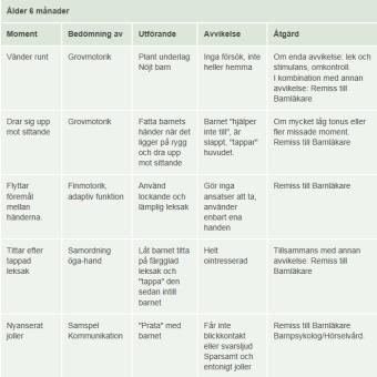 av utveckling samt somatisk undersökning Barnets hälsa och utveckling