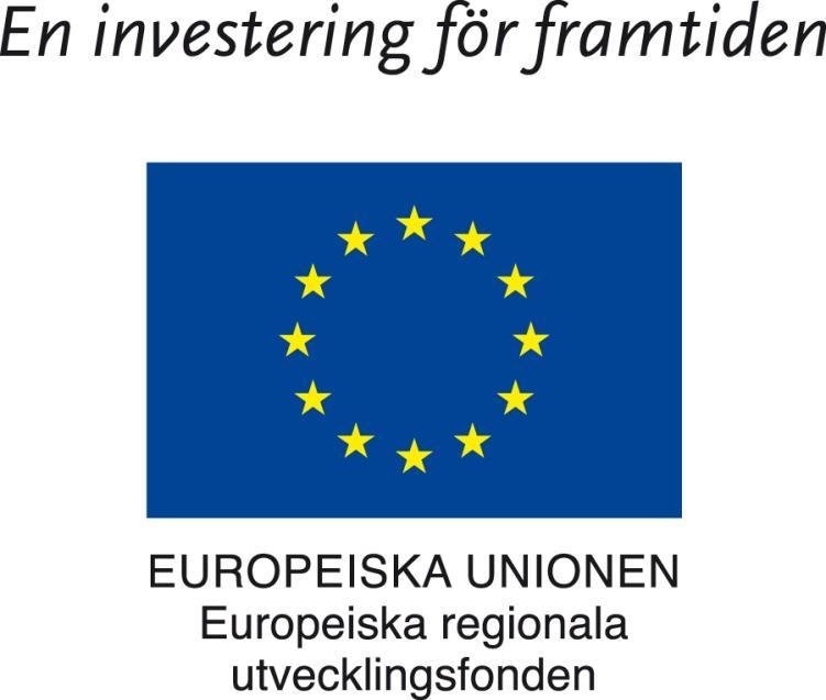 MITTUNIVERSITETET Projekt Kundanpassad teknikinformation KATI Slutrapport med fokus på förslag på arbetssätt och metoder