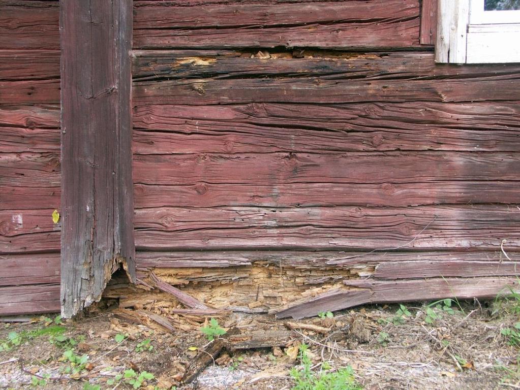 Rötskador i syllstock