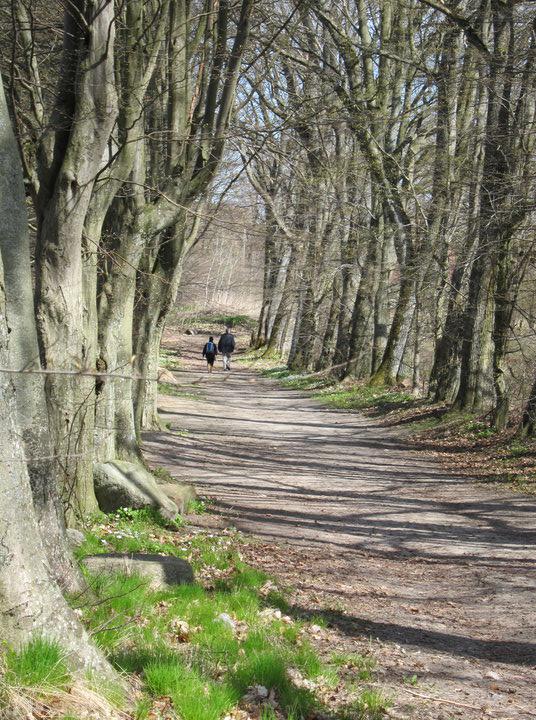 Bostadsmarknadsanalys Regional handlingsplan 2013 3.7 Areella näringar och naturvärden Läs mer Klimatanpassningsatlas för Skåne Framtidens skog sid. 34-37 Ett förändrat jordbruk sid.