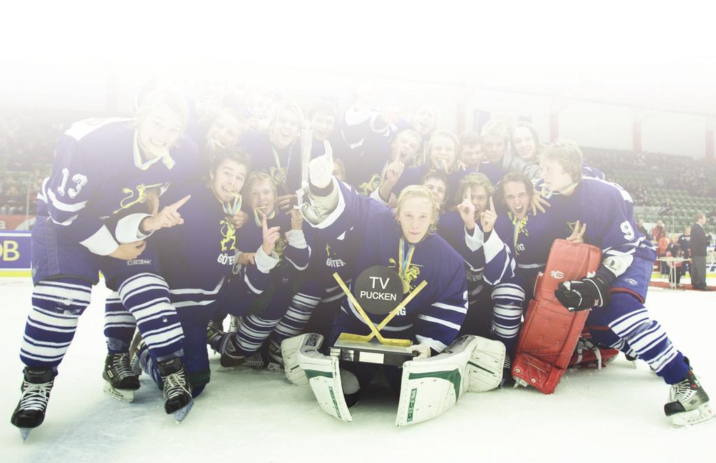 Ishockeyn Vill edar- och tränarutbildning Funktionärsutbildning Tre Kronors Hockeyskola Grundkursen Barn- och ungdomstränarkurs 1 och 2 Junior- och seniortränarkurs 1 och 2 Föreningsdomarutbildning