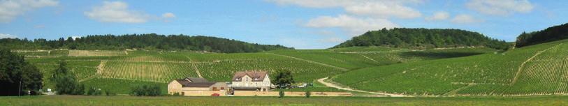 Frankrike Chablis Domaine Louis Michel & Fils Domaine Louis Michel startades 1850. Vineriet ligger mitt i hjärtat i staden Chablis.