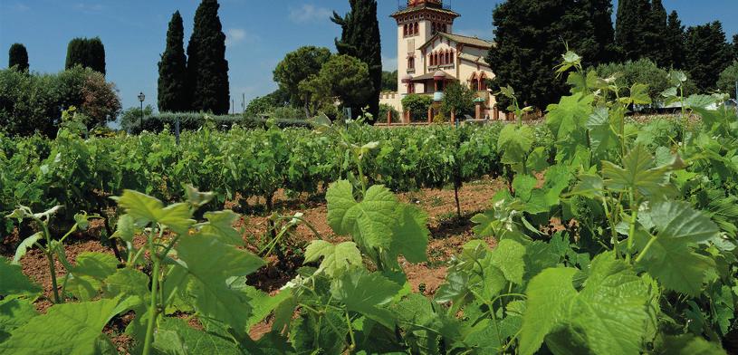 Italien Spanien Albet i Noya Det ekologiska alternativet Vingården Can Vendrell de la Cordina ligger söder om Barcelona i Penedès. På gården har det odlats vin sedan medeltiden.
