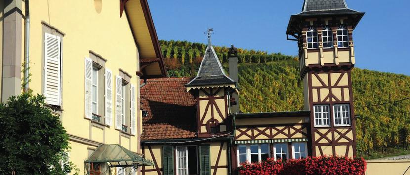 Alsace Frankrike F.E. Trimbach Familjen Trimbach räknas till veteranerna i Alsace, med en vinodlarhistoria från 1626.