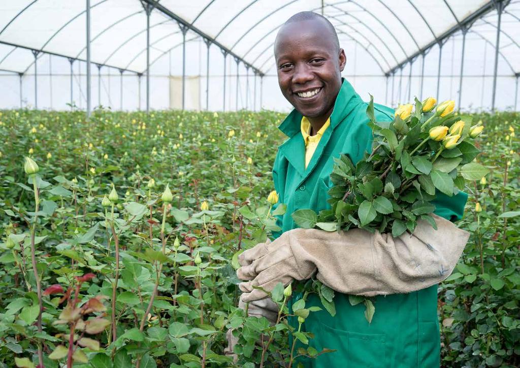 FOTO: OLA HÖIDEN Märkta varor ger schysta villkor Vid Naivashasjön i Kenya ligger rosplantagen Oserian. I samtal med de anställda är det tydligt att Fairtrade-certifieringen gjort skillnad.