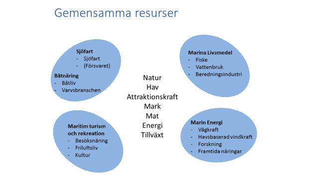 OLIKA NÄRINGAR I projektet Blå Affärsutveckling har vi främst titta på verksamheter inom sjöfart, båtnäring, maritim turism och marina livsmedel.