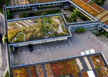 Augustenborgs takträdgård SCANDINAVIAN GREEN ROOF INSTITUTE Besök Augustenborgs botaniska trädgård med dess gröna tak och lär mer om hur de fungerar.