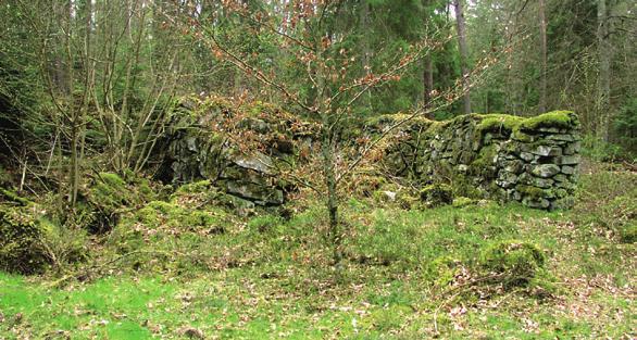 Källaren är för stor och pampig för att höra till undantagsstället. Troligen har den hört till den stora kålgård eller köksträdgård som låg intill.