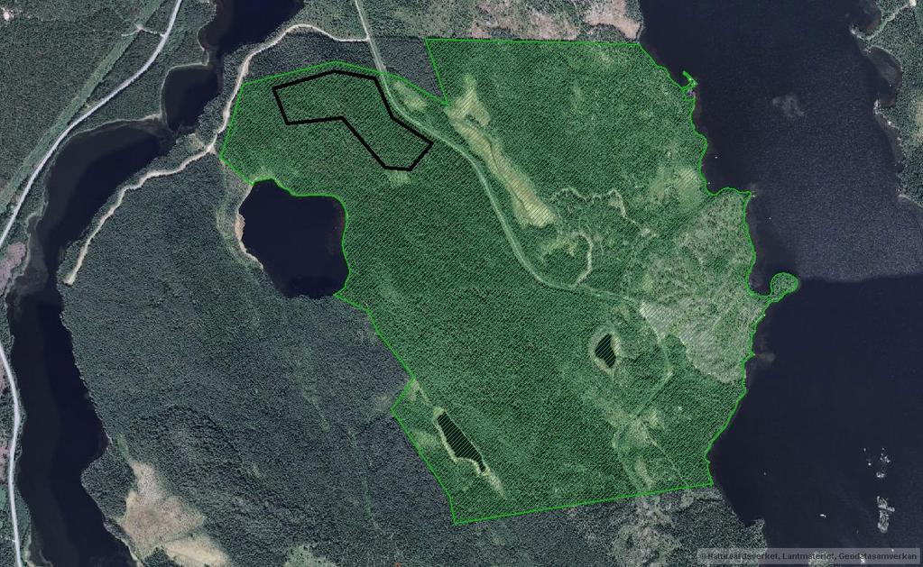 Lungsjöskogen Reservatet är beläget i Bräcke kommun, instiftades 2005 och är 252 ha stort.