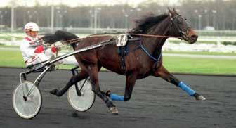 Strt :0 LOPP 9 Bnkod 0 b ODDS TVILLING TOP Lovely Godivs Minne (Gr. II, Int.) - Top -årig ston lägst 00.00 kr. 0 m. Autostrt. Pris: 0.000-.000-.00-.00-8.00-.000-.000 ( priser).