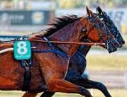 Strt 8: LOPP Bnkod 0 b ODDS TVILLING Olympitrvet (Gr. I, Int - UET Msters Series) -årig oh äldre. 0 m. Autostrt. 0 strtnde. Pris:.00.000-00.000-.000-0.000-.000-0.000 ( priser).