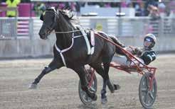 Skötre: Dn Widegren Skötre: Mrtin Lundin Skötre: Jen Mihel Millrd Skötre: Nin Blondeu ) NADAL BROLINE Kusk Ulf Ohlsson ) NUNCIO Kusk Örjn Kihlström ) LIONEL Kusk Görn Antonsen 8) YOUR HIGHNESS Kusk